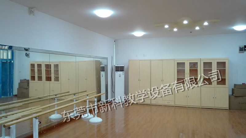 <a href='http://m.sbwkx.cn/chanpin/59-1.html' target='1' style='font-size:18px; font-weight:bold; color:#000000;'>舞蹈室</a>